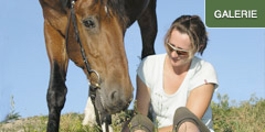 Reiten in K&ouml;tschach-Mauthen