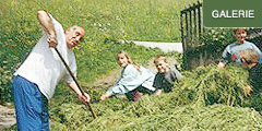 Beim Silieren 