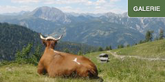 Wandern in der Karnischen Region