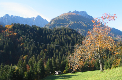 Herbst