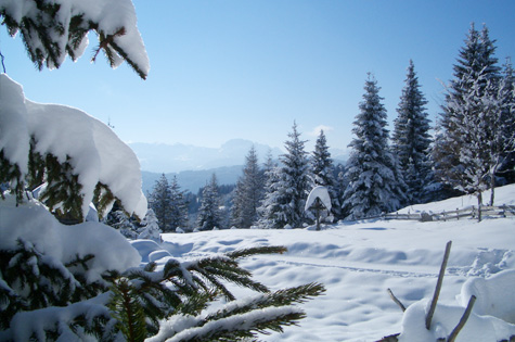 Winterlandschaft