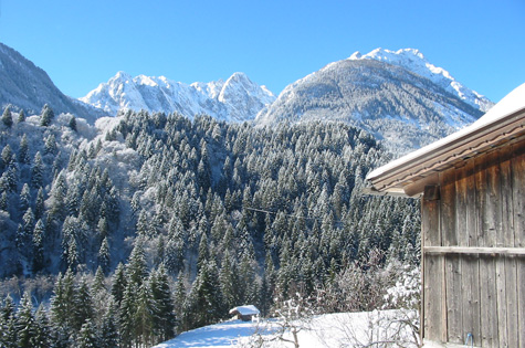 Panorama im Winter