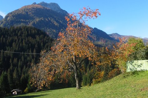 Herbstferien im Lesachtal - Heimatherbst von seiner schönsten Seite