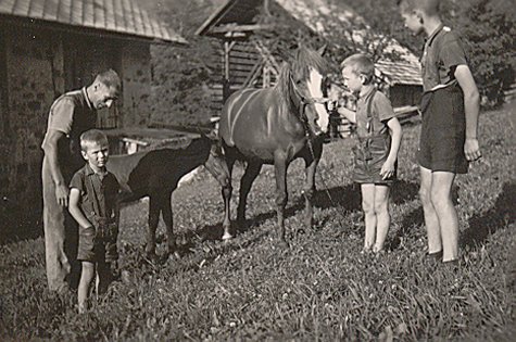 Pferd mit Fohlen