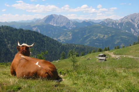 Kaesafeldalm - Obergail - Liesing