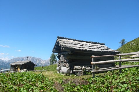 Kasafeldalm