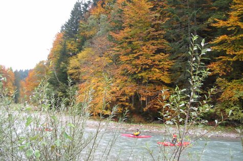 Kanufahren auf der Gail