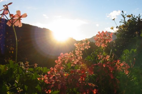 Sonnenaufgang im Herbst