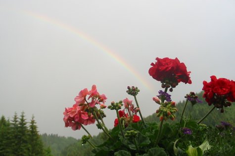 Regenbogen