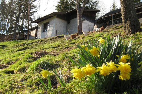 Frühling in Passau