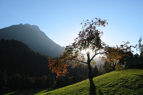 Herbststimmung