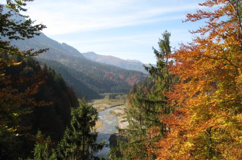 Gail im Herbst