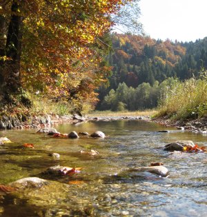 Die bunten Farben spiegeln sich im klaren Wasser der Gail.