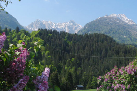 Panorama im Sommer