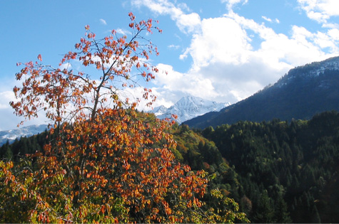 Herbst